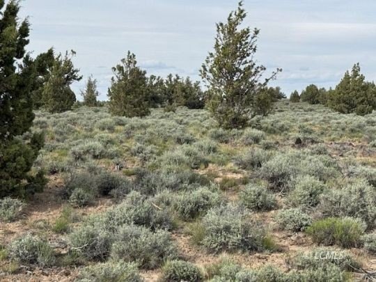 280 Acres Bordered by BLM
