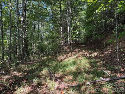 Land, Waynesville, NC