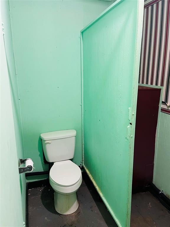 Picture 14