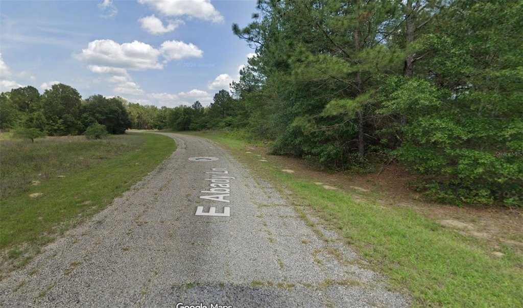 Picture 3