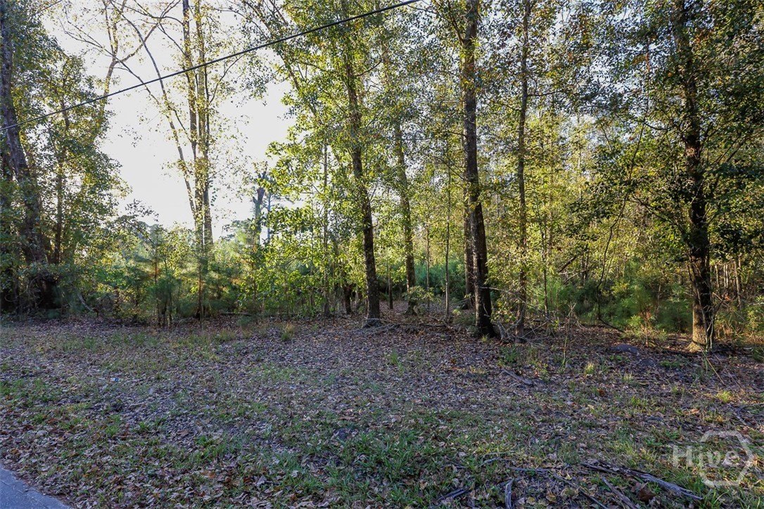 Land in Guyton City Limits