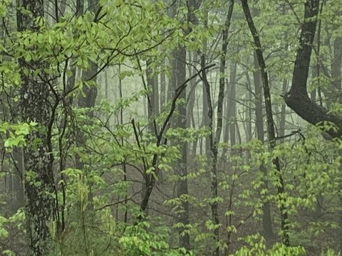 Jasper Highlands Land Opportunity