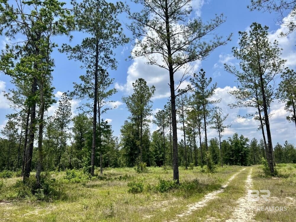 Picture 20