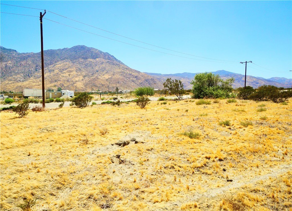 Picture 8