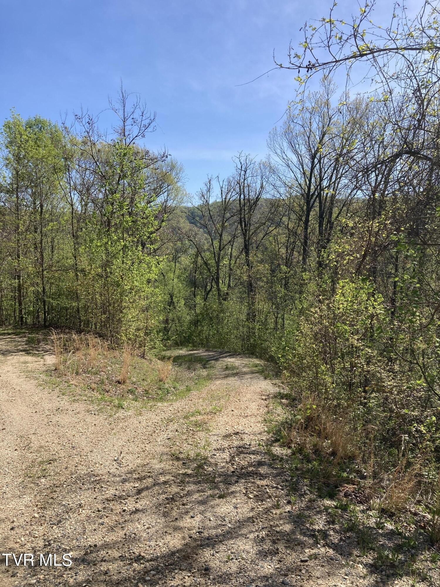 Secluded Mountain View Lot