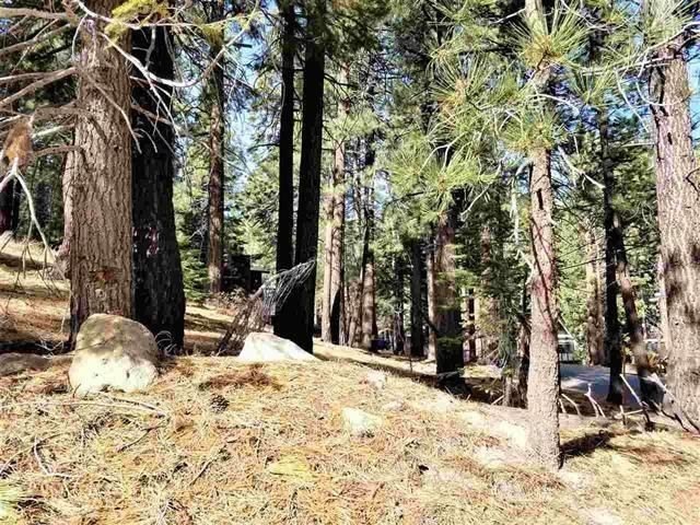 Mammoth Lakes Land Opportunity
