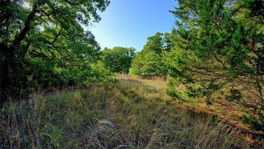 Picture 8