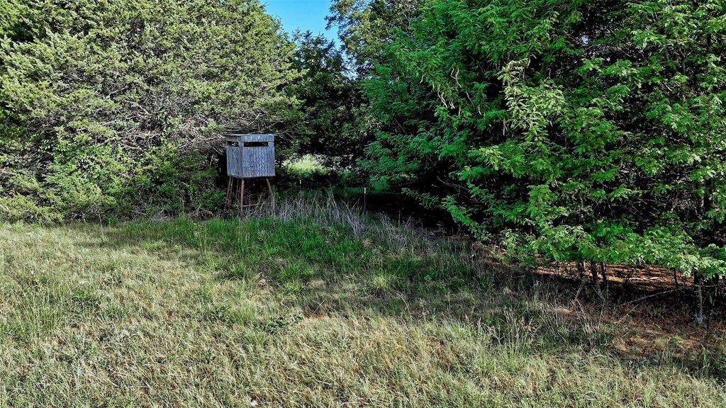 Picture 5