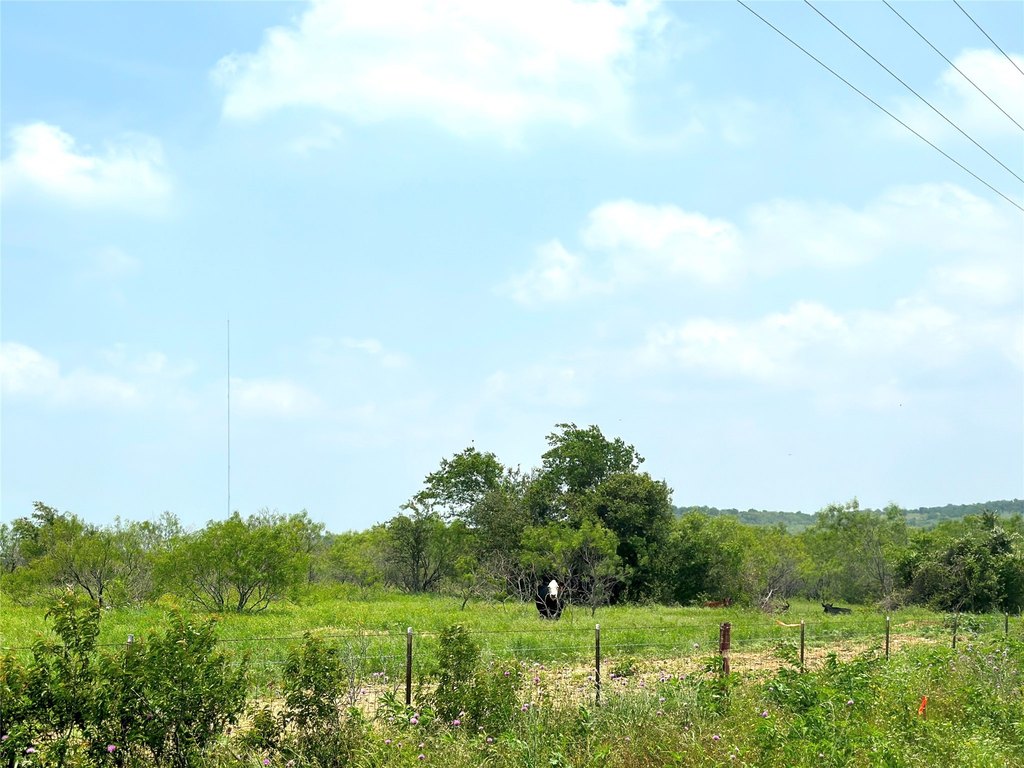 Picture 24
