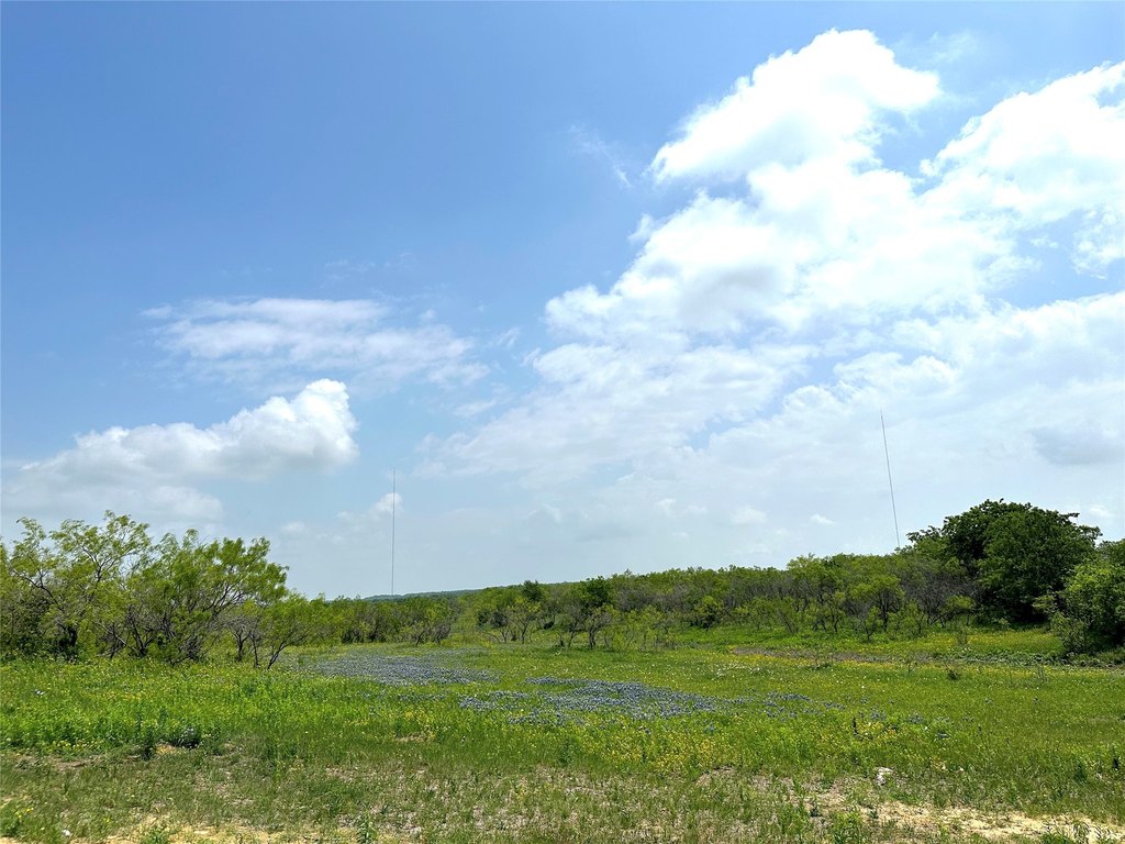 Picture 22