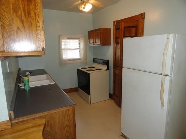 Picture 15