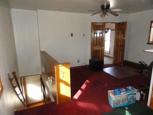 Picture 29