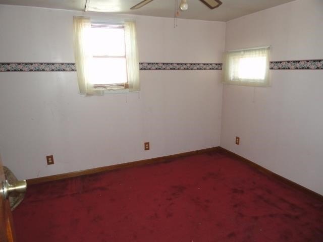 Picture 31
