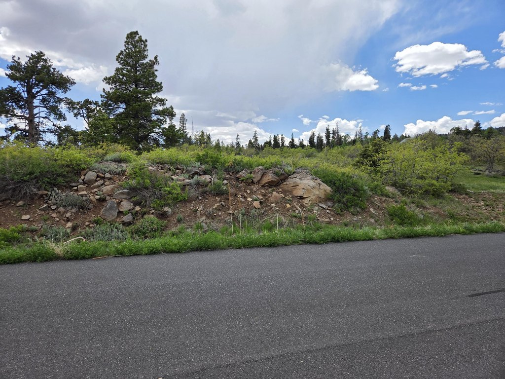 Picture 14