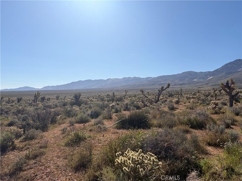 Lucerne Valley Land with Well