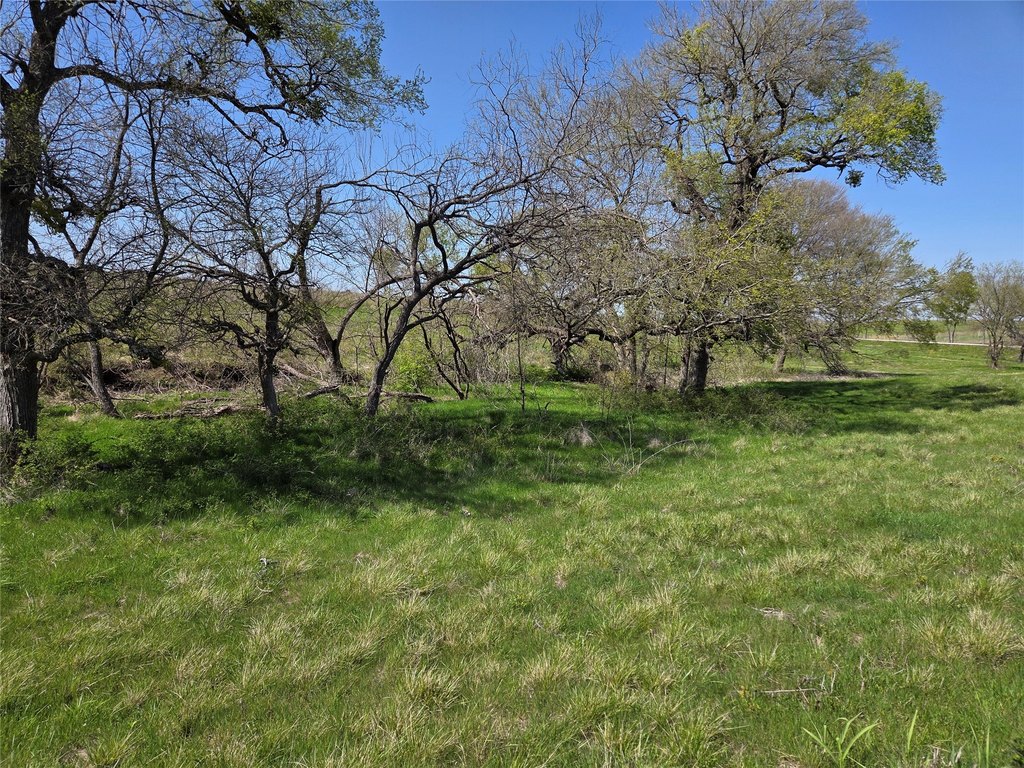 Picture 15