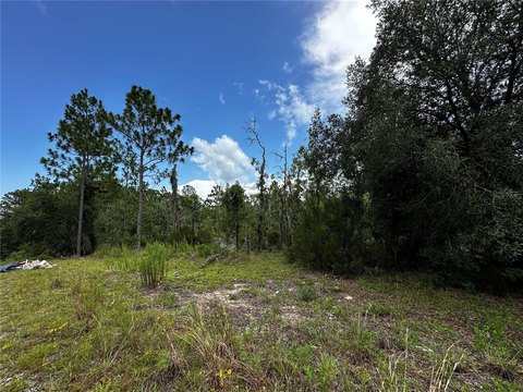 Residential Building Lot