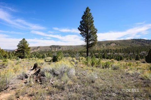 Single Family Lot, Mammoth Creek, UT