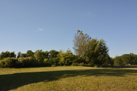 Residential Lot in Beecher, IL