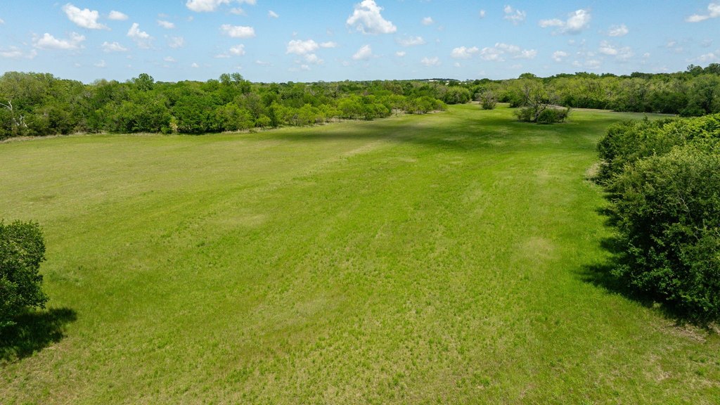 Picture 31