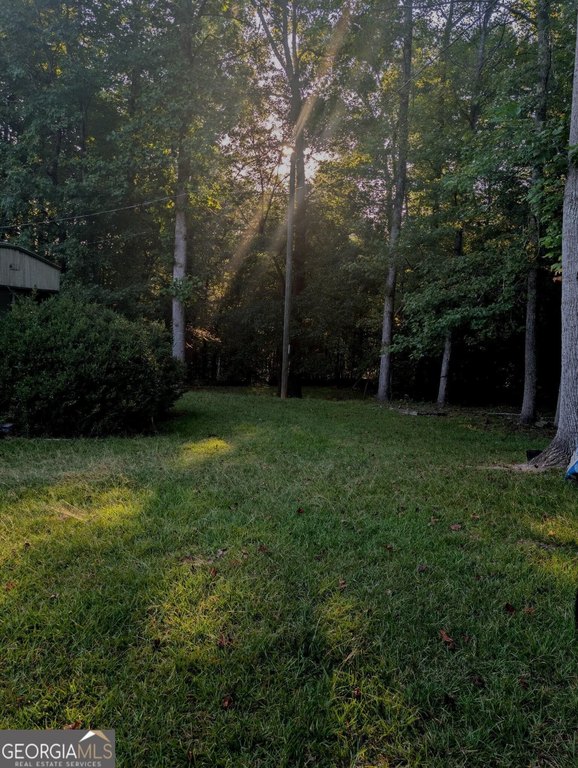 Picture 5