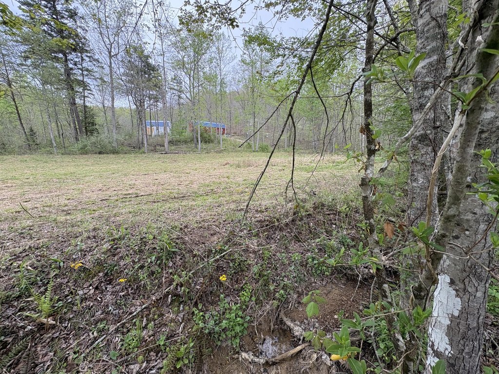 Picture 16