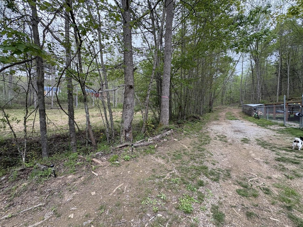 Picture 17