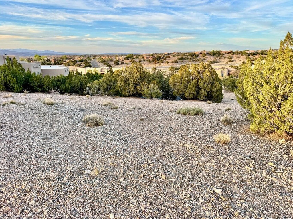 Picture 20