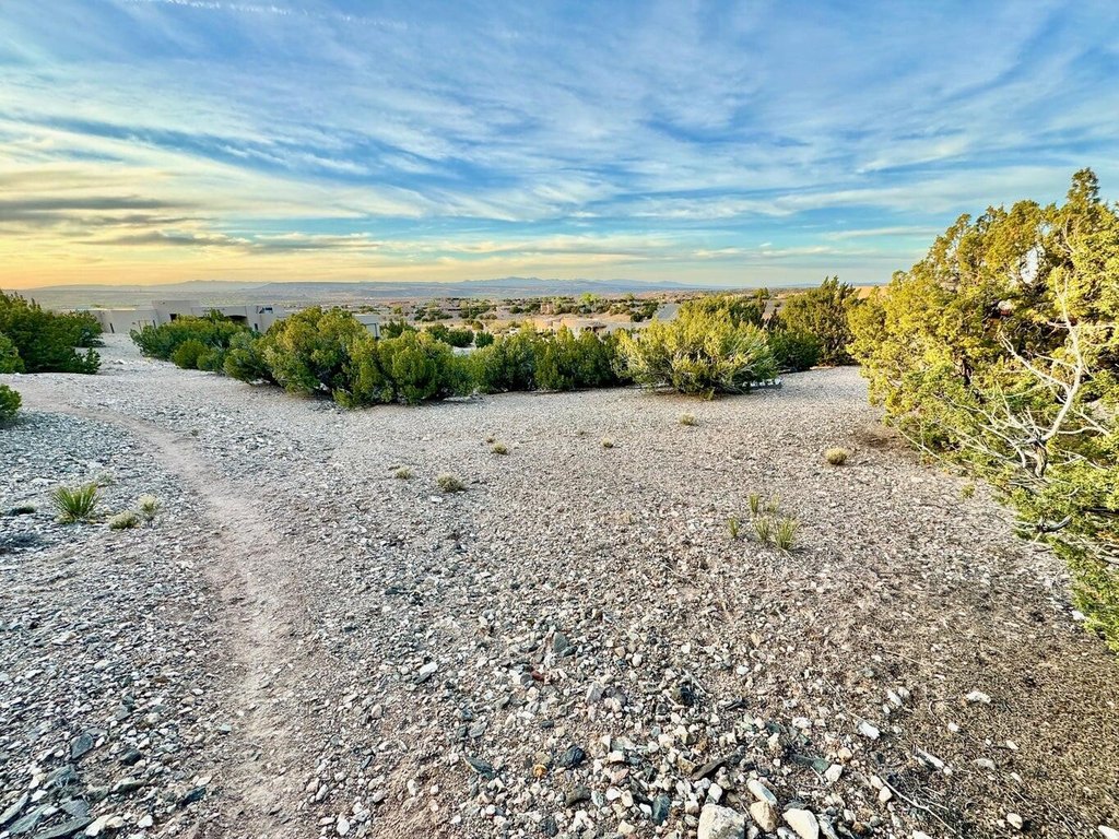 Picture 22
