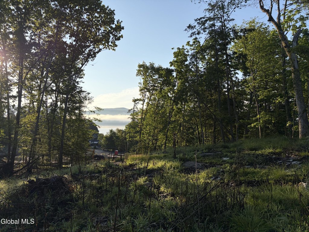 Picture 24