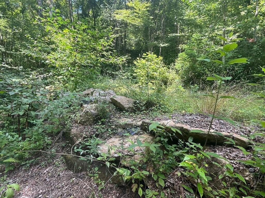 Picture 19