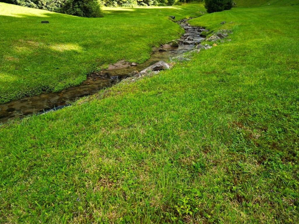 Picture 29
