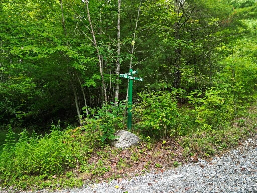 Picture 23