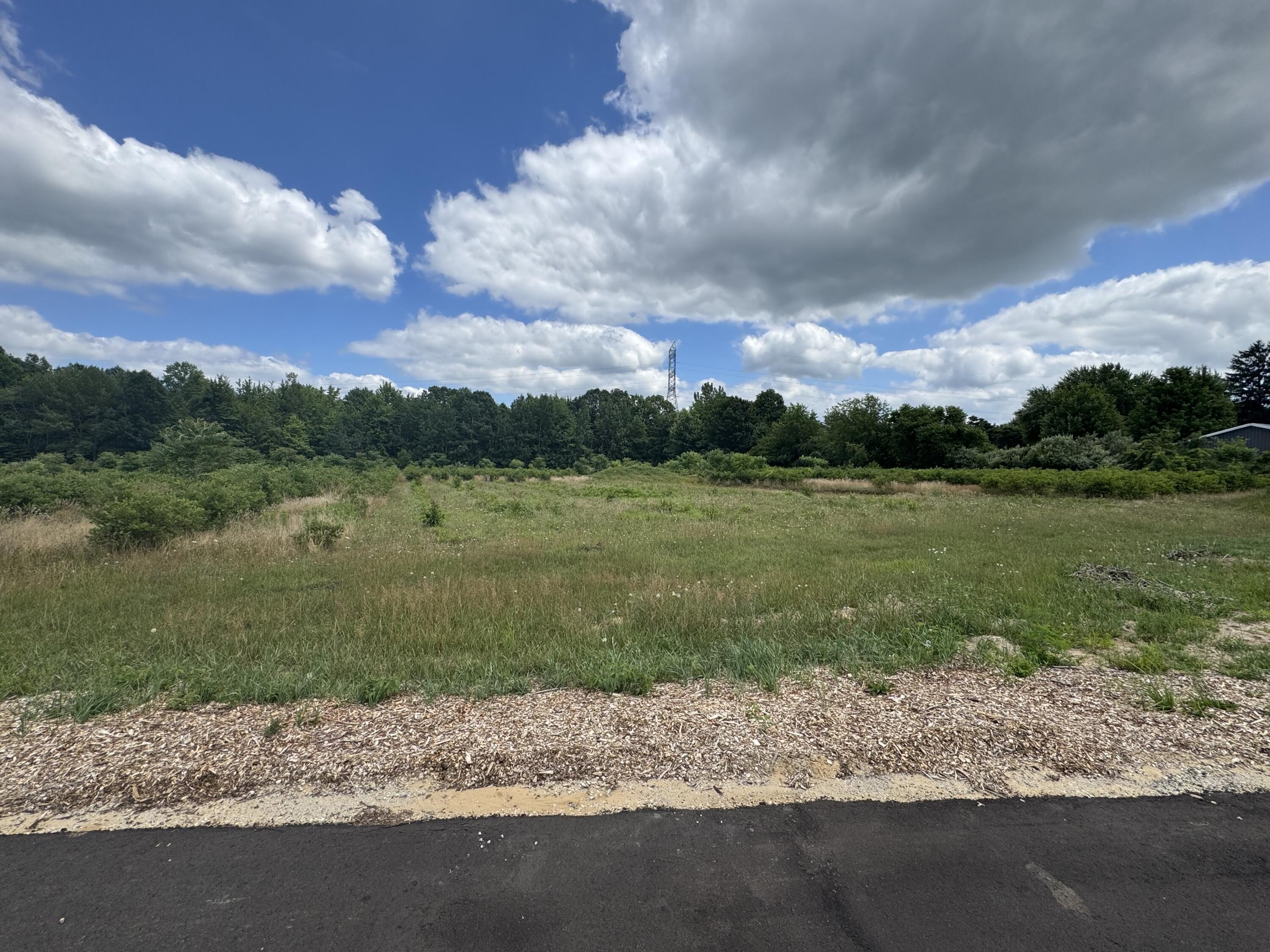 Land Parcel in Fennville, MI