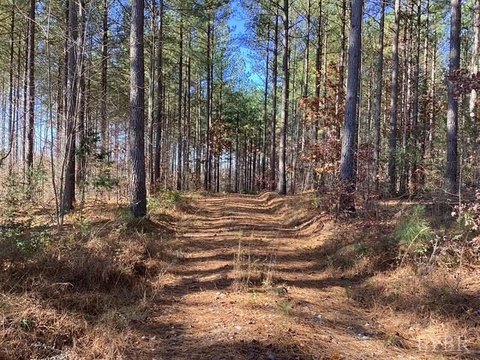 Brookneal Land with Timber Potential