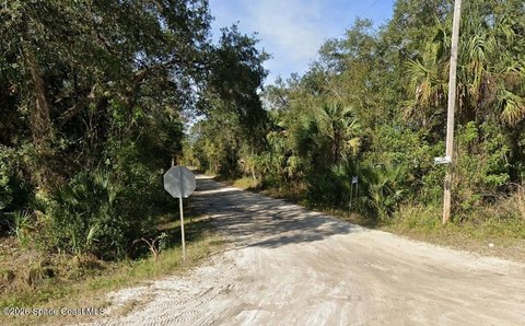 Secluded Canaveral Groves Land Parcel
