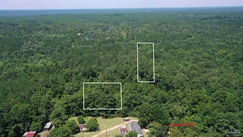 Wooded Land Parcel in Brewton