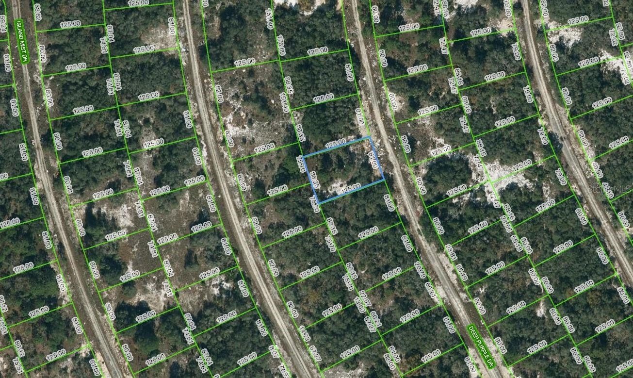 Land in Lake Placid, FL