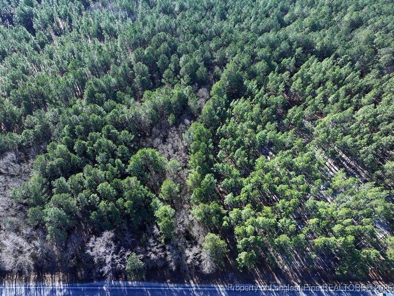 Heavily Wooded Lot in Fairmont