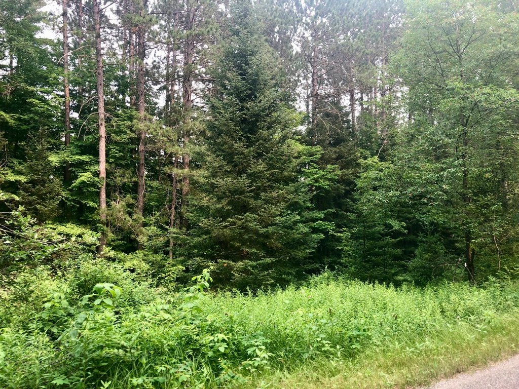 Picture 3