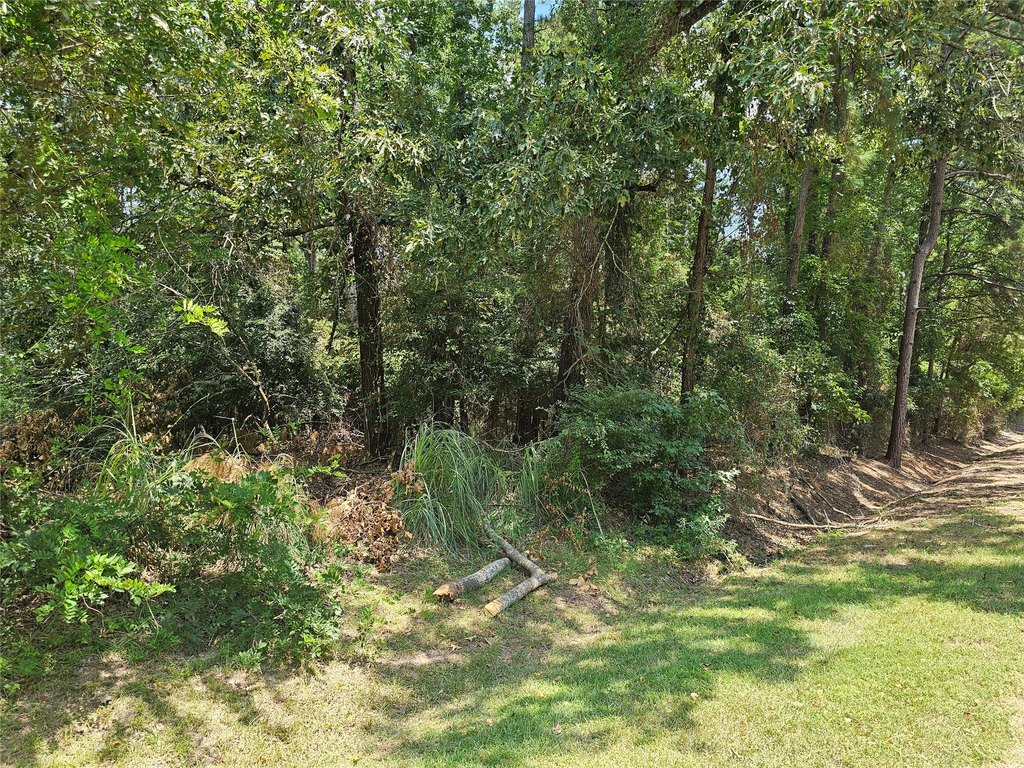 Picture 3