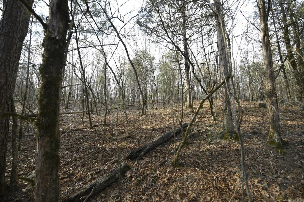 Picture 12