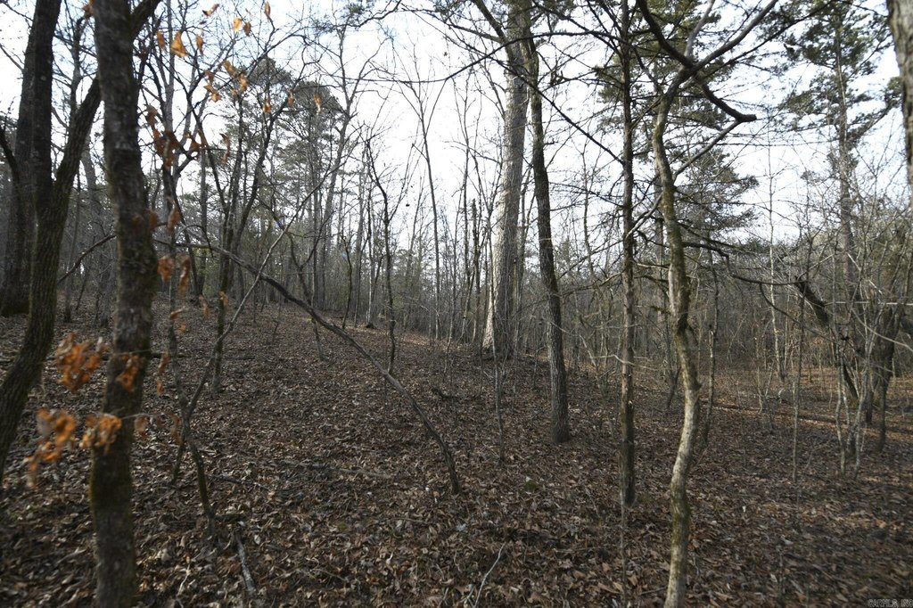 Picture 13