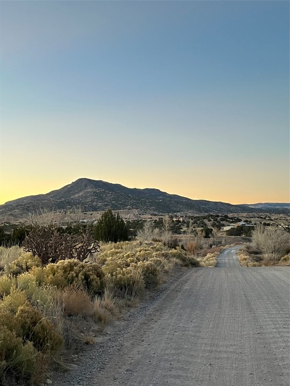 Picture 31
