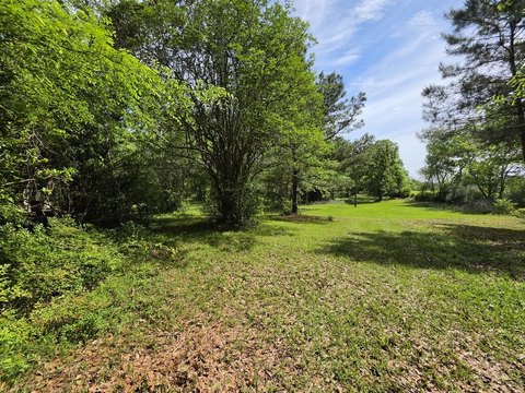 Land, San Augustine, TX