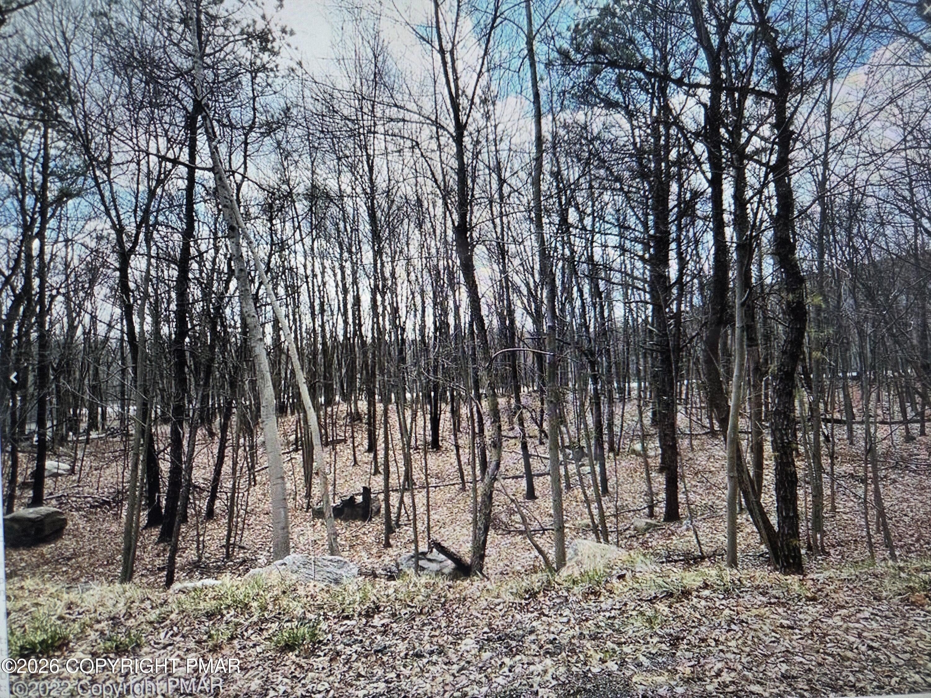 Residential Land in Effort, PA