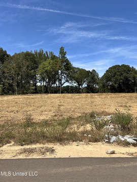 Byhalia, MS Land For Sale