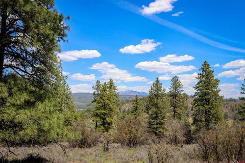 Land in Pagosa Springs, CO