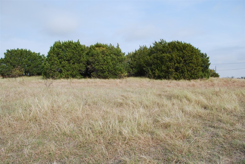 Picture 10