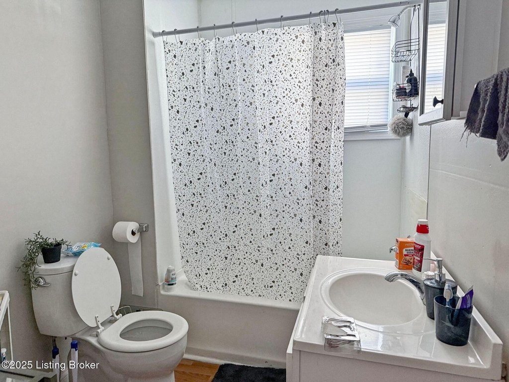 Picture 12